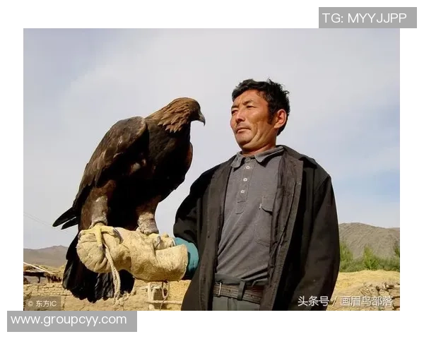 新疆短训营选拔引发关注媒体人质疑高效工作水平能否持续